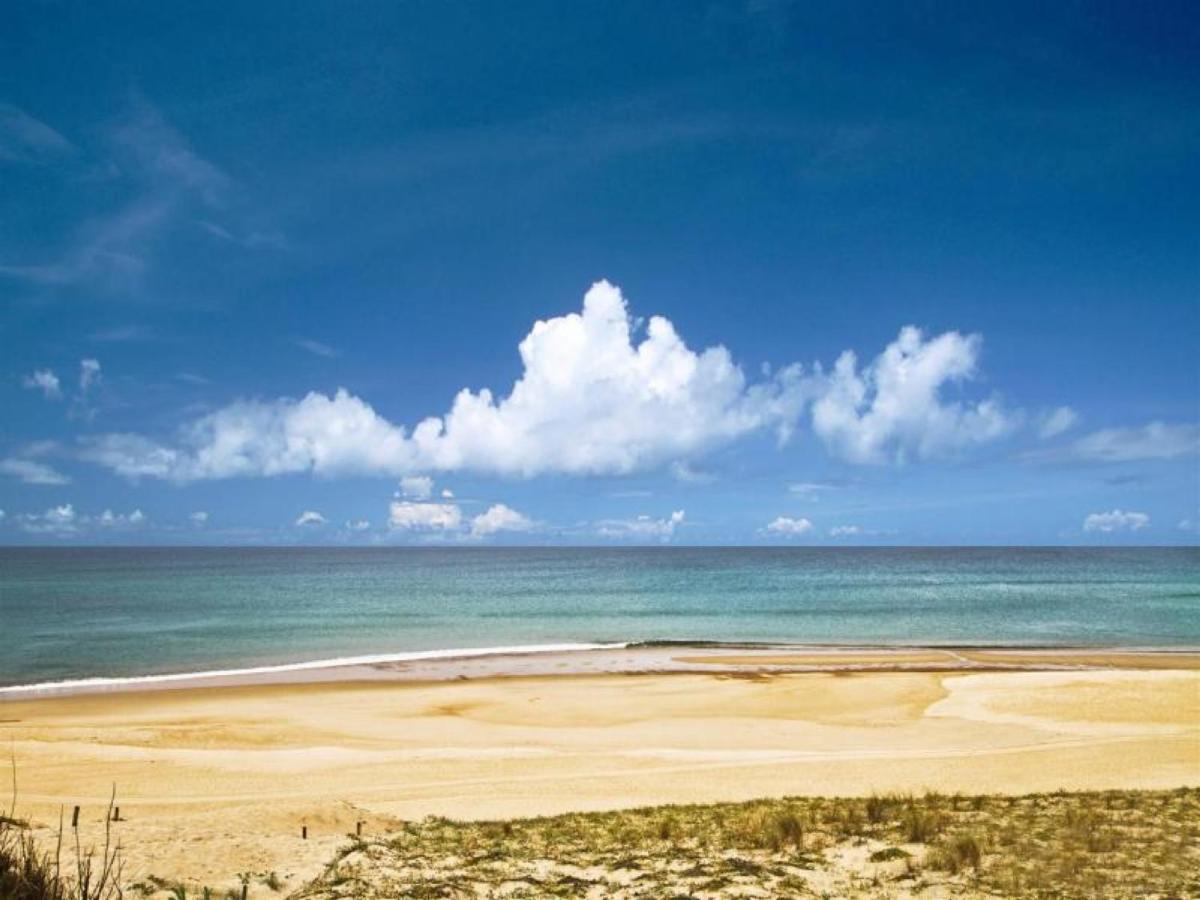 Studio Cosy Proche Ocean Et Commerces, Parfait Pour Des Vacances A Deux! - Fr-1-239-437 Seignosse Eksteriør billede