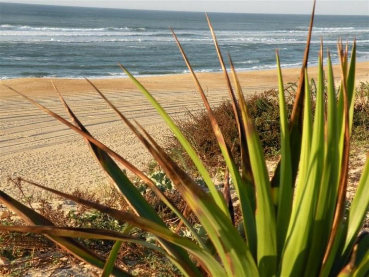 Studio Cosy Proche Ocean Et Commerces, Parfait Pour Des Vacances A Deux! - Fr-1-239-437 Seignosse Eksteriør billede