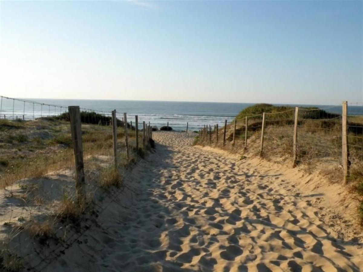Studio Cosy Proche Ocean Et Commerces, Parfait Pour Des Vacances A Deux! - Fr-1-239-437 Seignosse Eksteriør billede