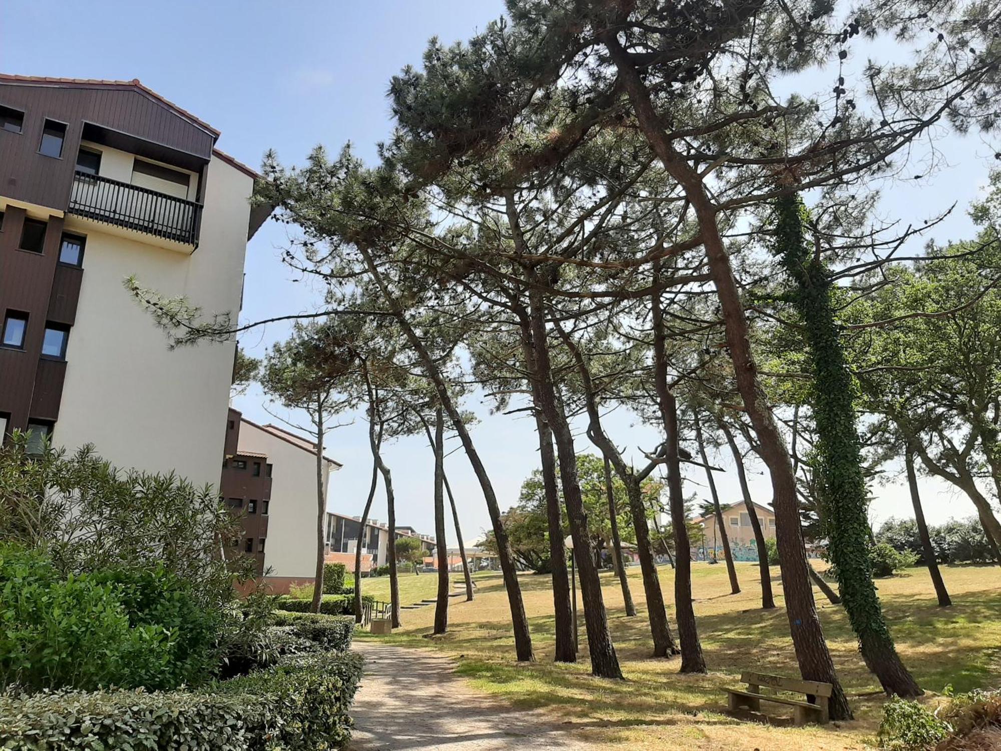 Studio Cosy Proche Ocean Et Commerces, Parfait Pour Des Vacances A Deux! - Fr-1-239-437 Seignosse Eksteriør billede